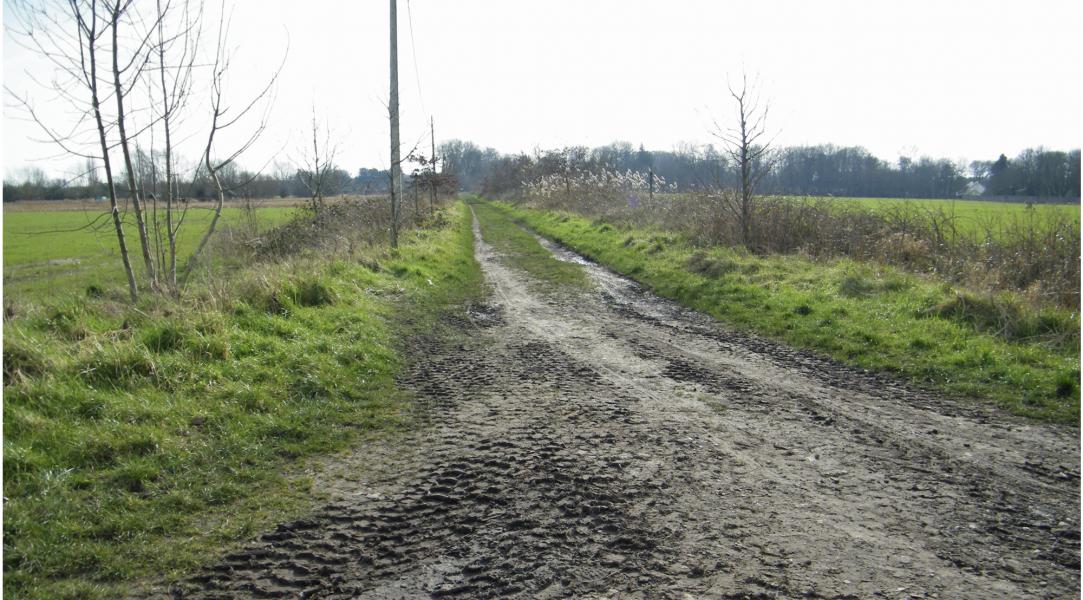 Sint-Valentijn Anders Wandeling 2022 © Federatie Sint-Kruis