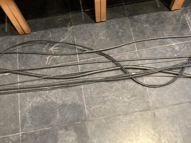 Viering van 12 april 2026 