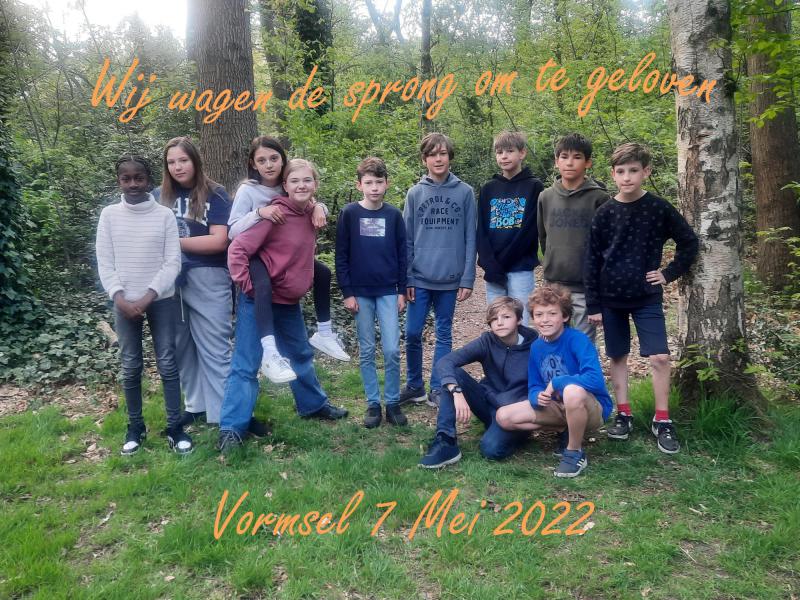 De vormelingen van het Neerland en het Valaar 