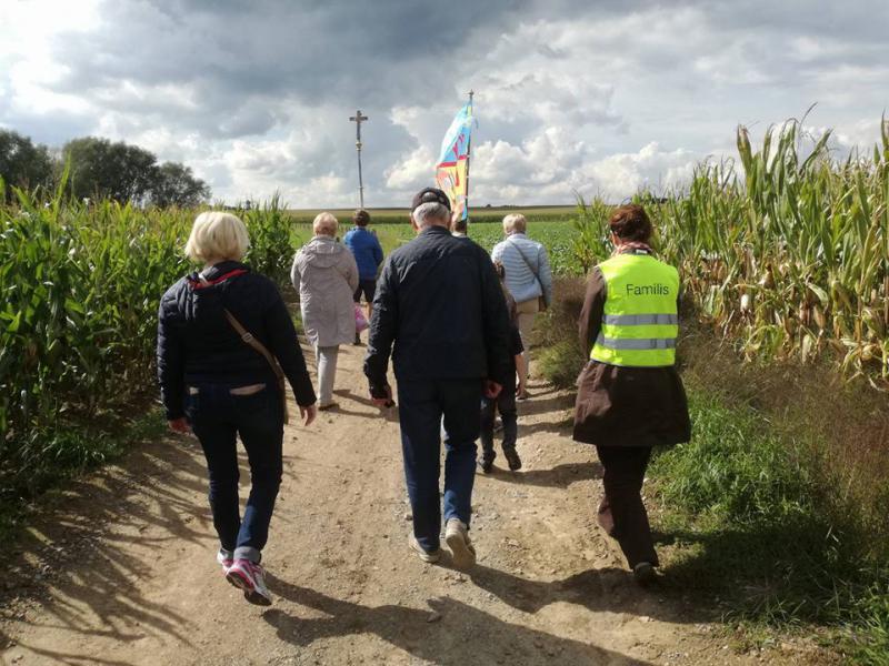 Wegom langs Winnikse veldkapelletjes © Alexander Vandaele
