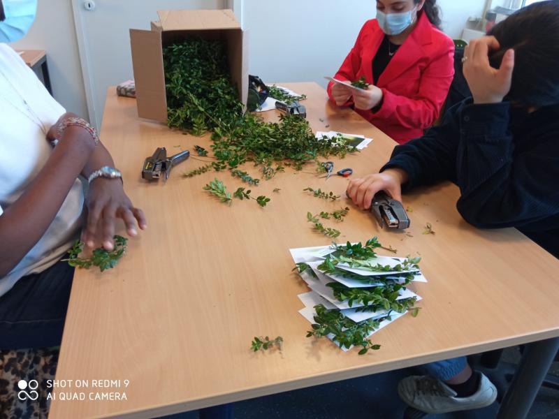 leerlingen van de Cardijnschool maken de palmkaartjes klaar 