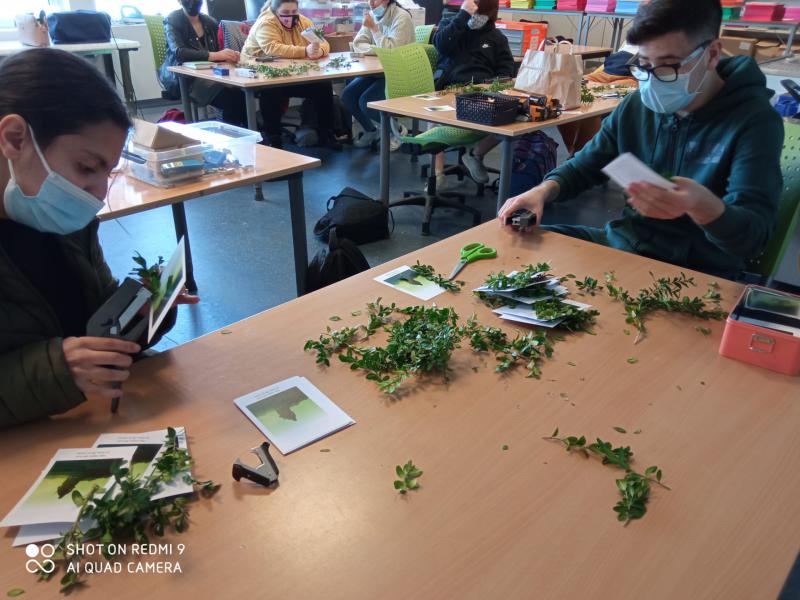 leerlingen van de Cardijnschool maken de palmkaartjes klaar 