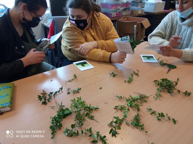 leerlingen van de Cardijnschool maken de palmkaartjes klaar 