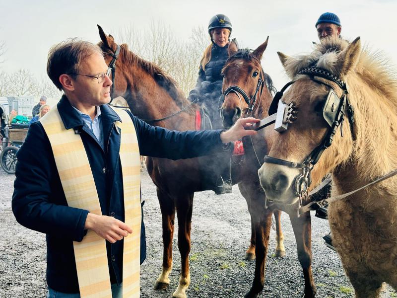Paardenzegening Sint-Elooi in Wingene Sint-Jan 