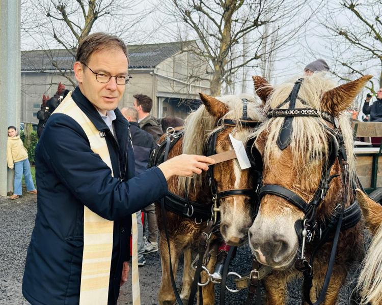 Paardenzegening Sint-Elooi in Wingene Sint-Jan 