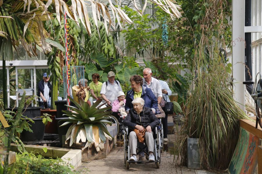 Plantentuin Meise 