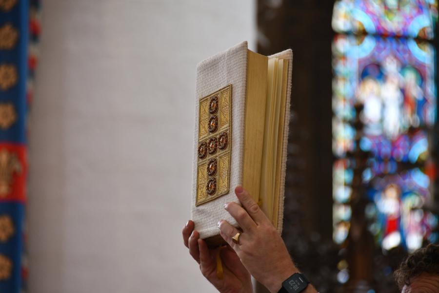 Sint Leonardusprocessie 2019 © Briers Guy