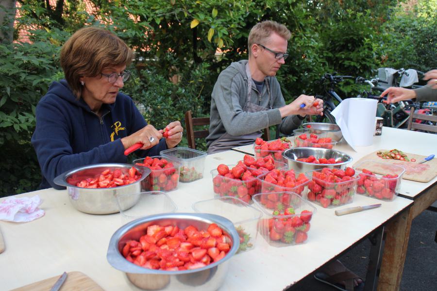 Aardbeien ... dat zal smullen worden © RvH