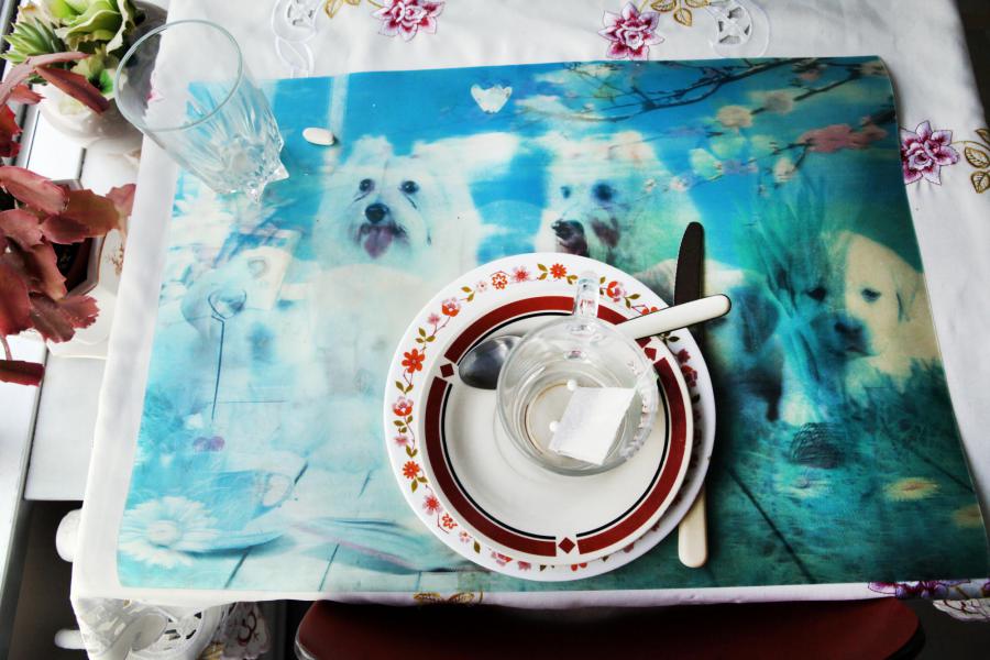 Welzijnszorg © (c) Layla Aerts