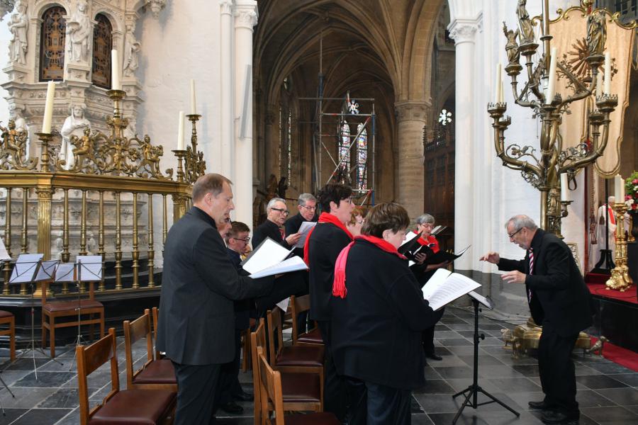 Sint Leonardusprocessie 2019 © Briers Guy