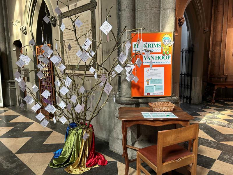 boom vol hoop © bedevaarten