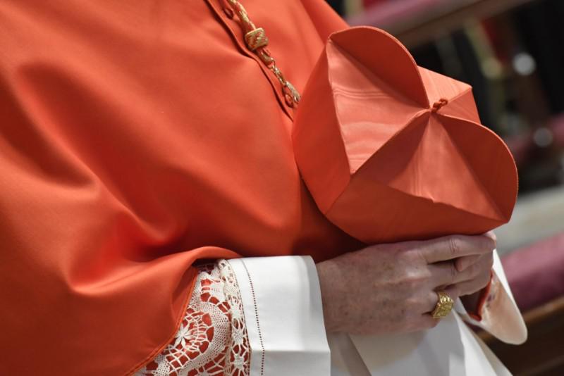 De zogenaamde 'kardinaalshoed' © Vatican Media