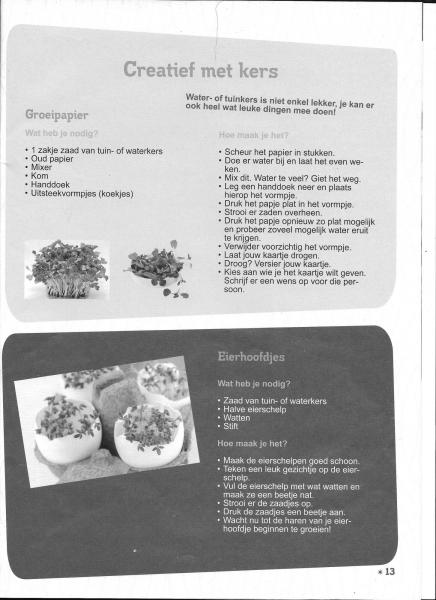 creatief met kers © parochie onze lieve Vrouw Lichtaart