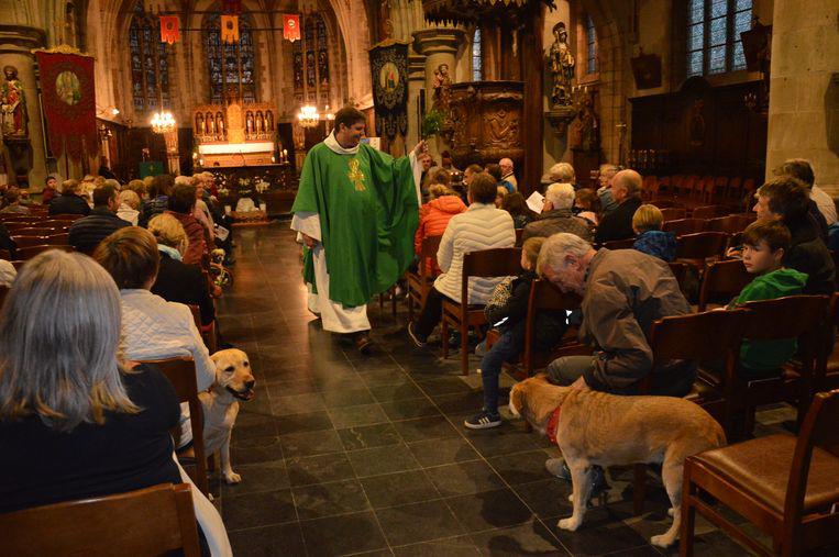 De dierenzegening in de kerk van Appelterre naar aanleiding van Werelddierendag. © Claudia Van den Houte