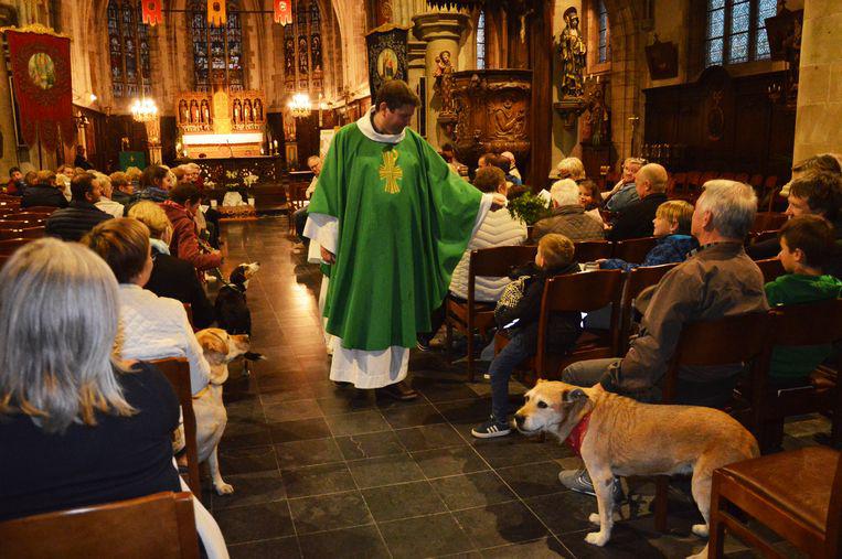De dierenzegening in de kerk van Appelterre naar aanleiding van Werelddierendag. © Claudia Van den Houte