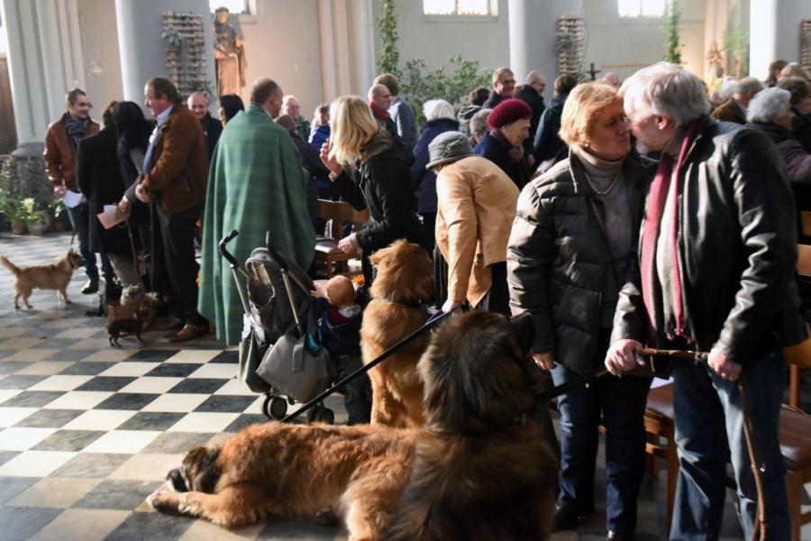 Sint-Hubertusviering met dierenzegening © Dieter Nijs