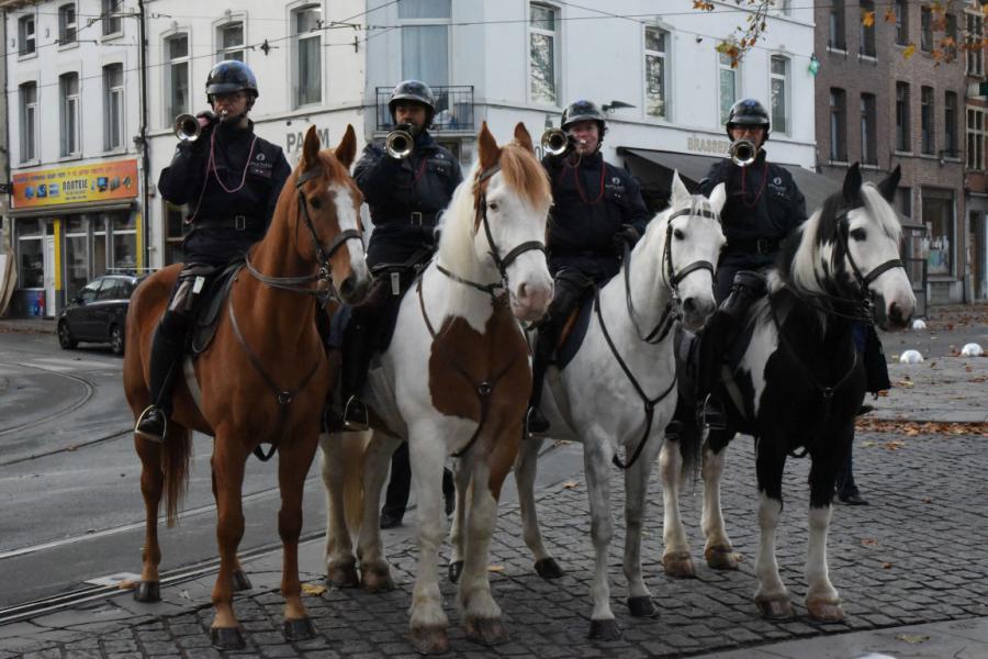 Sint-Hubertusviering met dierenzegening © Dieter Nijs