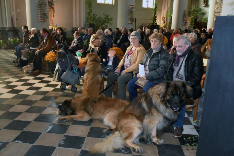 Sint-Hubertusviering met dierenzegening © Dieter Nijs