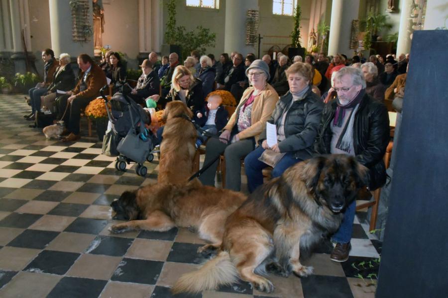 Sint-Hubertusviering met dierenzegening © Dieter Nijs