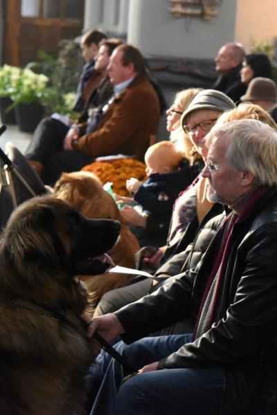 Sint-Hubertusviering met dierenzegening © Dieter Nijs