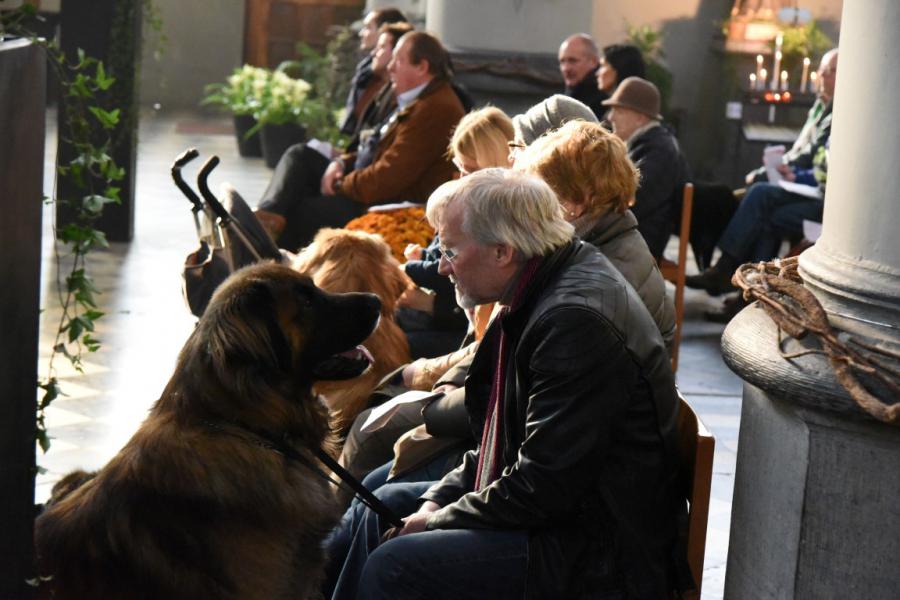 Sint-Hubertusviering met dierenzegening © Dieter Nijs