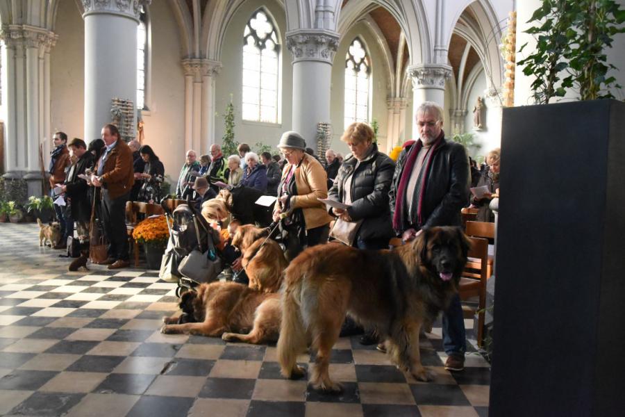 Sint-Hubertusviering met dierenzegening © Dieter Nijs