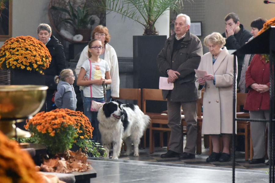 Sint-Hubertusviering met dierenzegening © Dieter Nijs