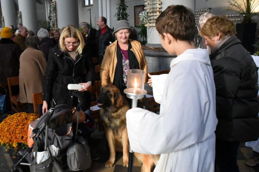 Sint-Hubertusviering met dierenzegening © Dieter Nijs