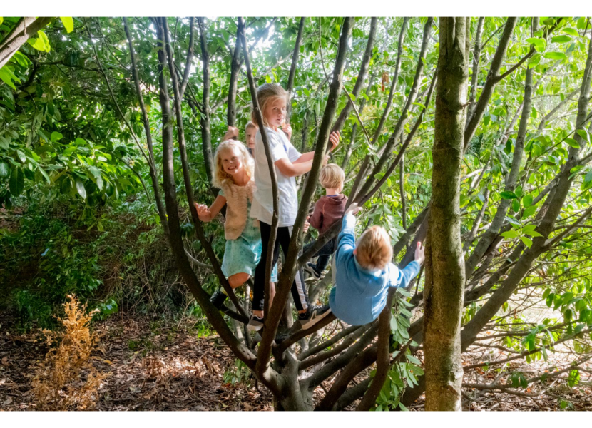 Wandeling op 8 september 2020 - kinderplezier ©  Jan J. Holvoet 