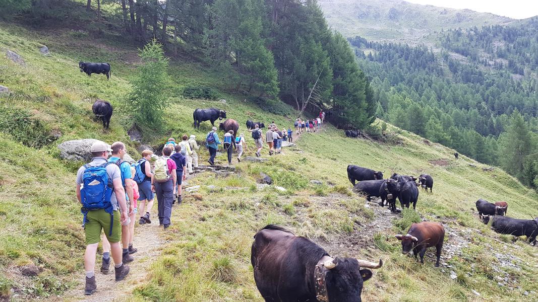 Genieten van een overweldigende natuurpracht © CCV Gent - Gezinvolgeloven