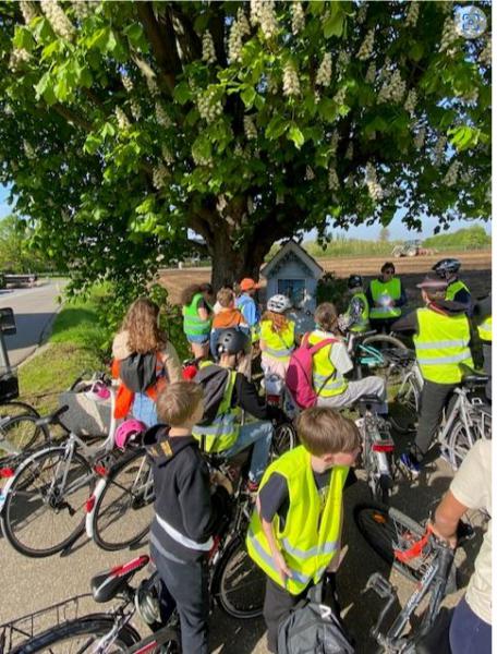 Fietstocht vormelingen Lutselus-Rooierheide 