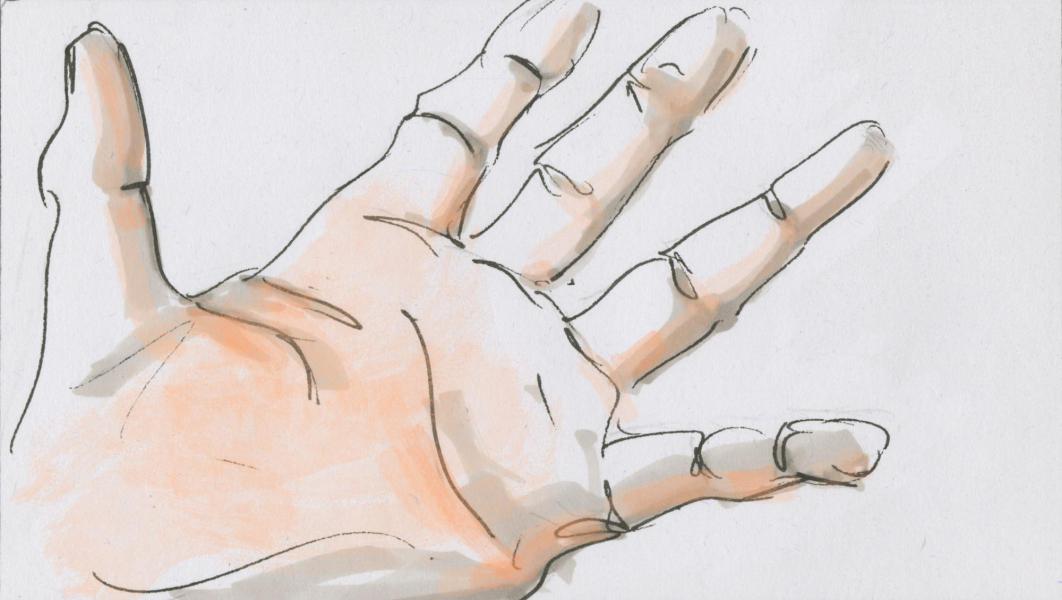 Handpalm © Bisdom Gent, tekening: Koen Van Loocke