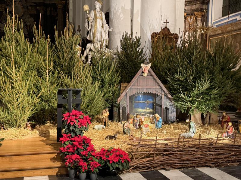 Kerststal in de Abdijkerk van Ninove - 2024 © Alexander Vandaele