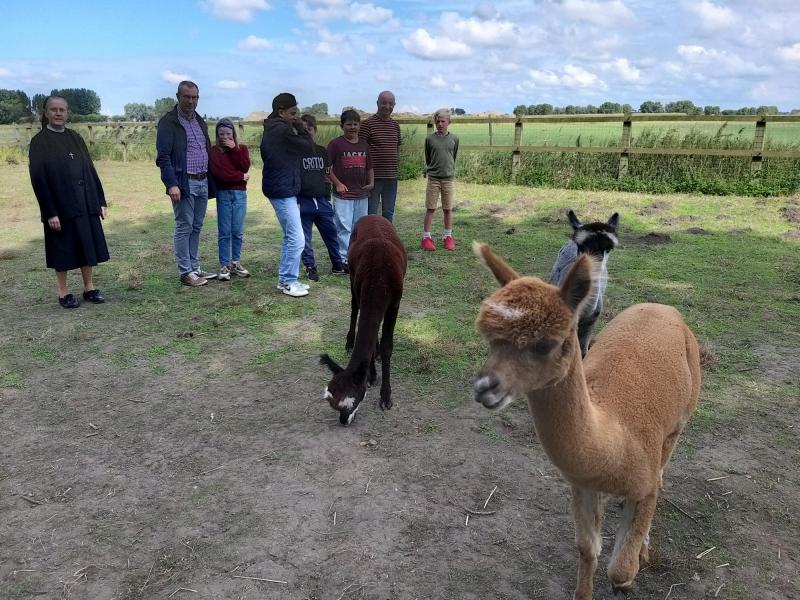 alpaca wandeling © bedevaarten