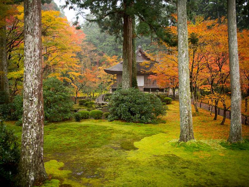 Sanzen-in tempel, Ohara, Japan © CC Patrick Vierthaler via Flickr