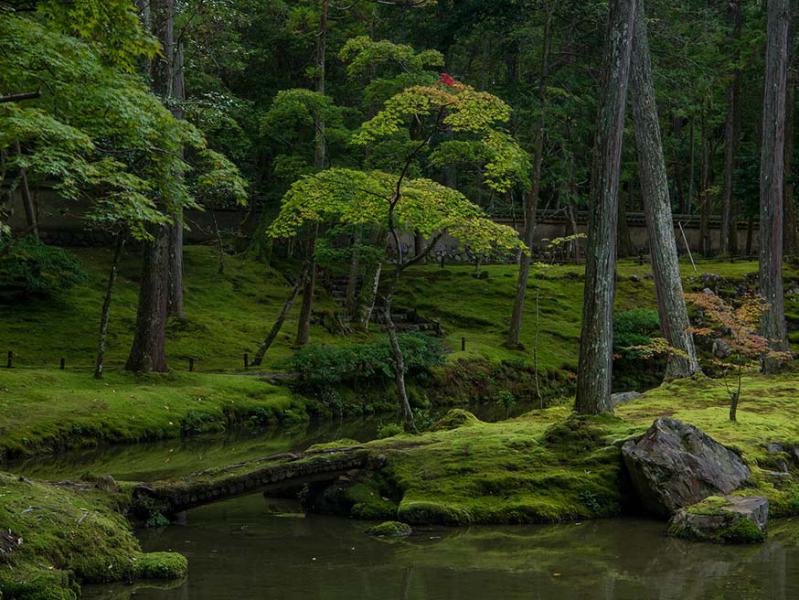 Saiho-ji koke-dera (mostempel) nabij Kyoto, Japan © CC Patrick Vierthaler via Flickr