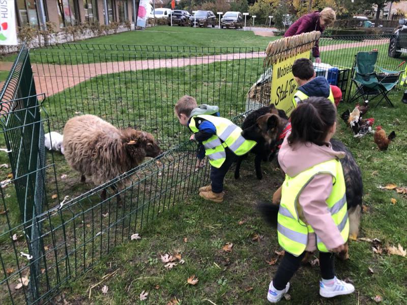 Naar de kinderboerderij © Machteld 