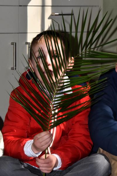 Palmzondag © Parochie Maldegem