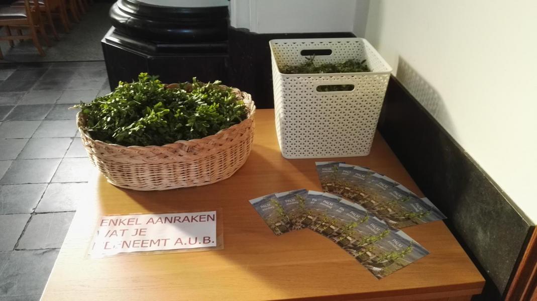 Palmzondag 2021 kerk Bambrugge © ADV