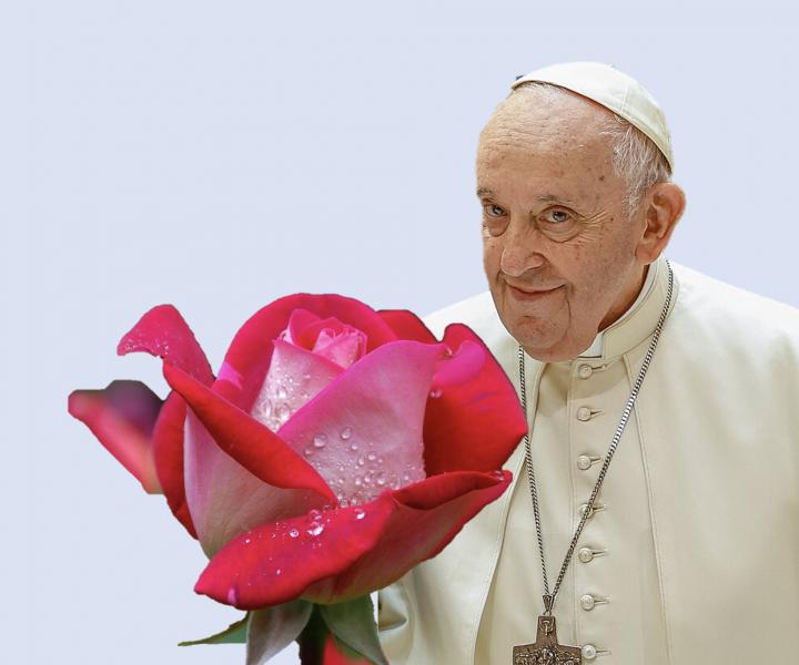 paus Franciscus  © Bisdom Hasselt