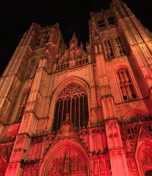 De Brusselse kathedraal kleurt rood voor christenen in Midden-Oosten © Tommy Scholtes