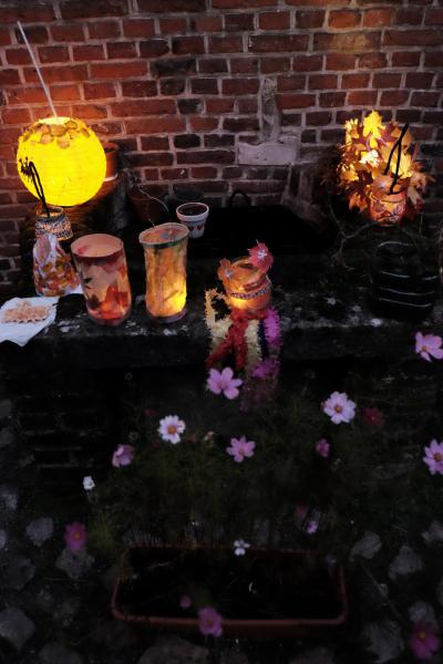 Sint-Maarten Lantaarnwandeling © Pastorale Zone Leuven aan de Dijle