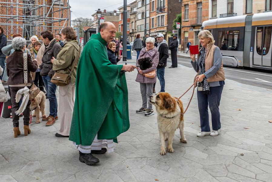 Dierenzegening 2024 12 © Frans Verweft 