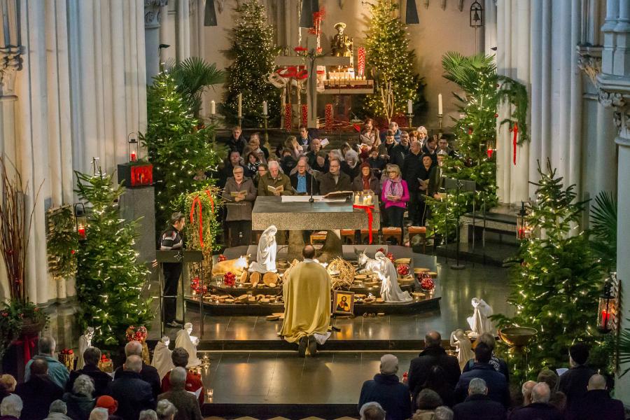 Brusselse mis © Francis Gerits