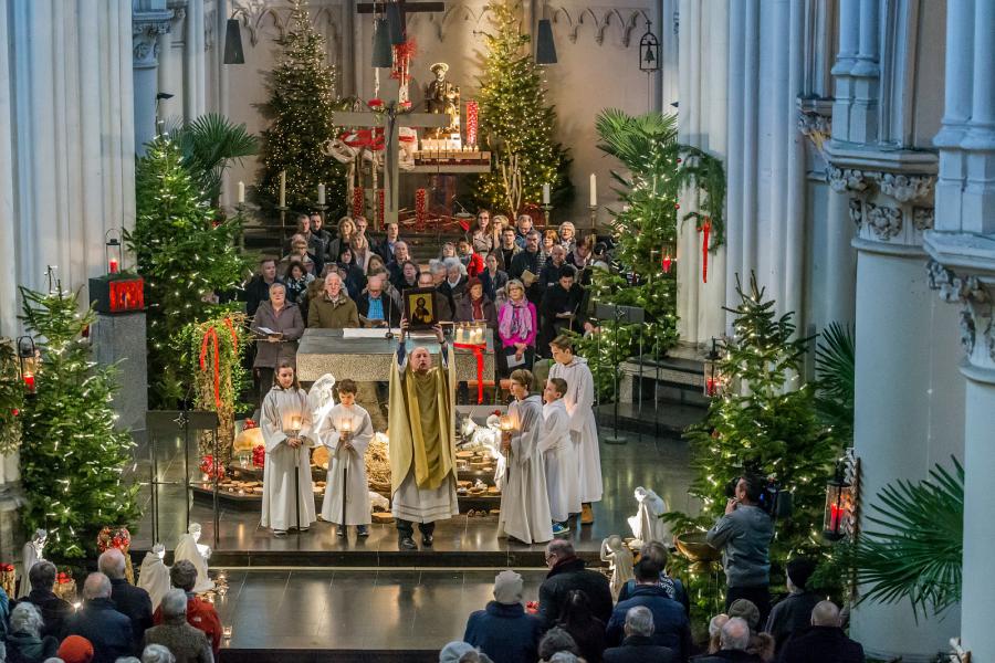 Brusselse mis © Francis Gerits