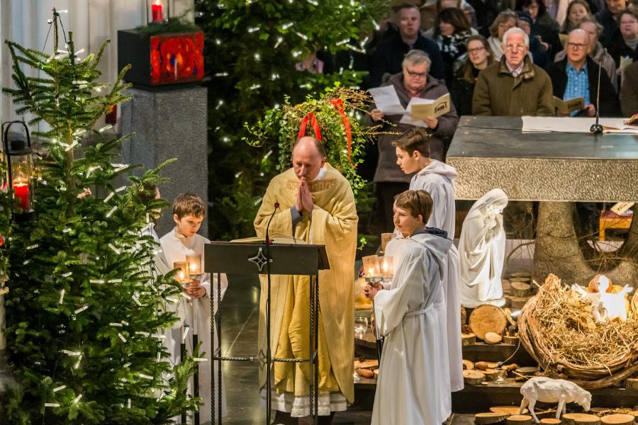 Brusselse mis © Francis Gerits
