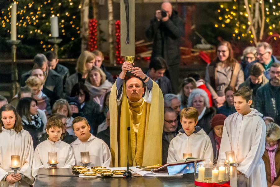 Brusselse mis © Francis Gerits
