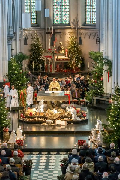 Brusselse mis © Francis Gerits