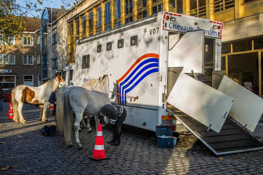 Sint-Hubertusviering met dierenzegening © Frans Verwerft