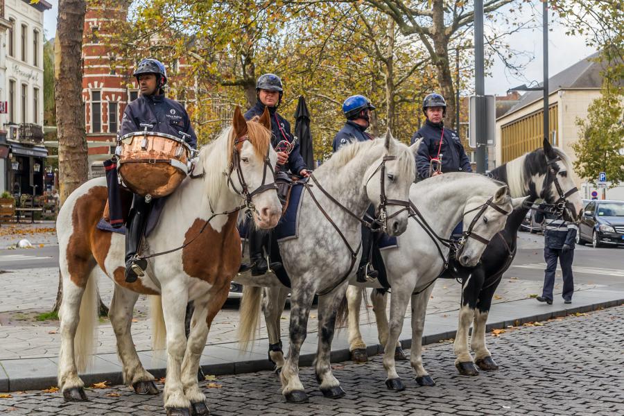 Sint-Hubertusviering met dierenzegening © Frans Verwerft